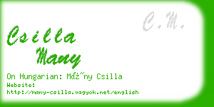 csilla many business card